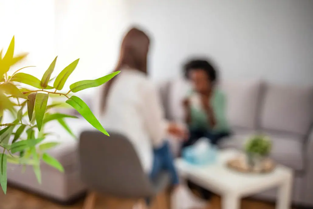 Northern Rivers Counselling Services NSW - Anne Evans, Counselling