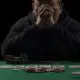 When would you recommend gambling addiction therapy with a professional counsellor